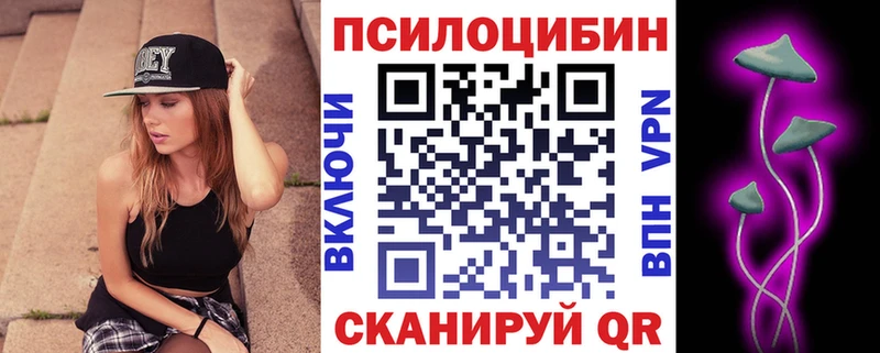 Галлюциногенные грибы Psilocybe закладка Углегорск